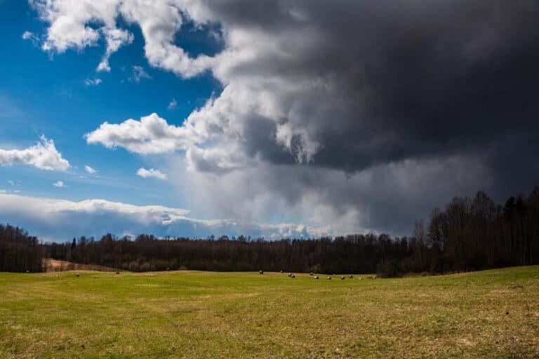 How to Insulate a Van for UK Weather